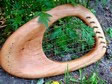 lyre